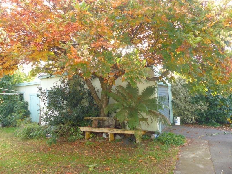 95 East Barrack Street, Deloraine TAS 7304