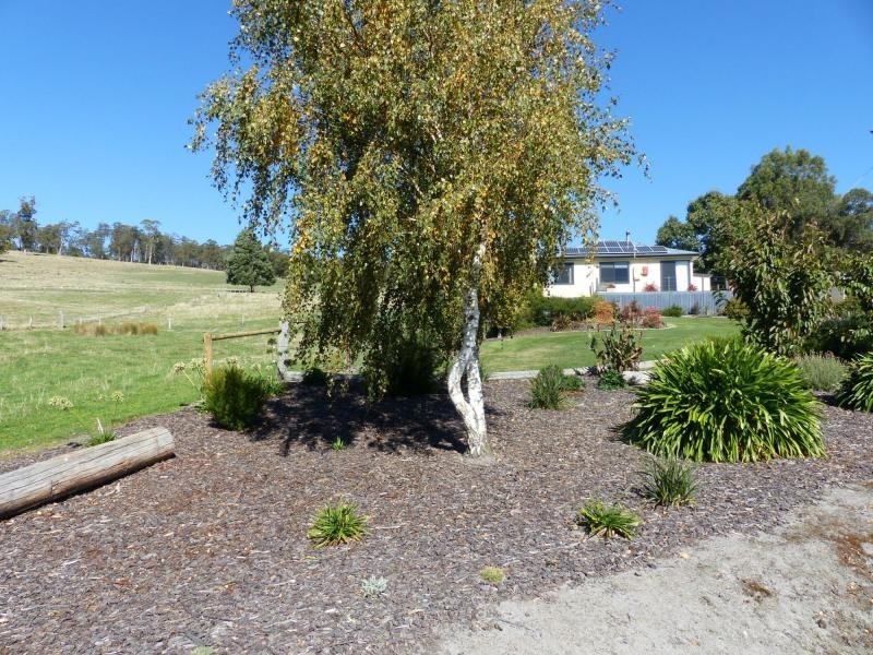 769 Osmaston Road, Deloraine TAS 7304