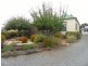 30 Grigg Street, Deloraine TAS 7304