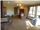 41 Pultney Street, Deloraine TAS 7304