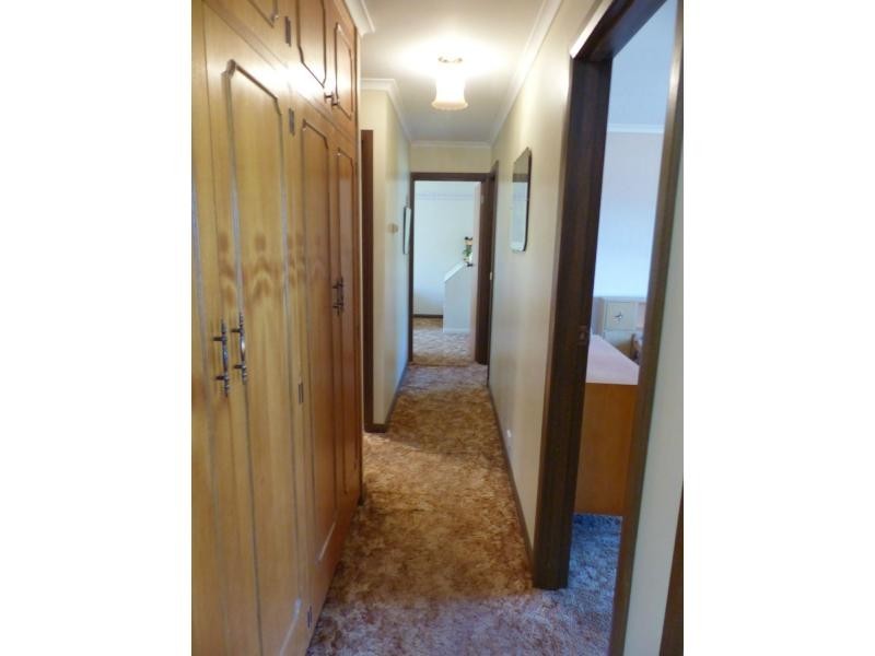 41 Pultney Street, Deloraine TAS 7304