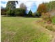 41 Pultney Street, Deloraine TAS 7304