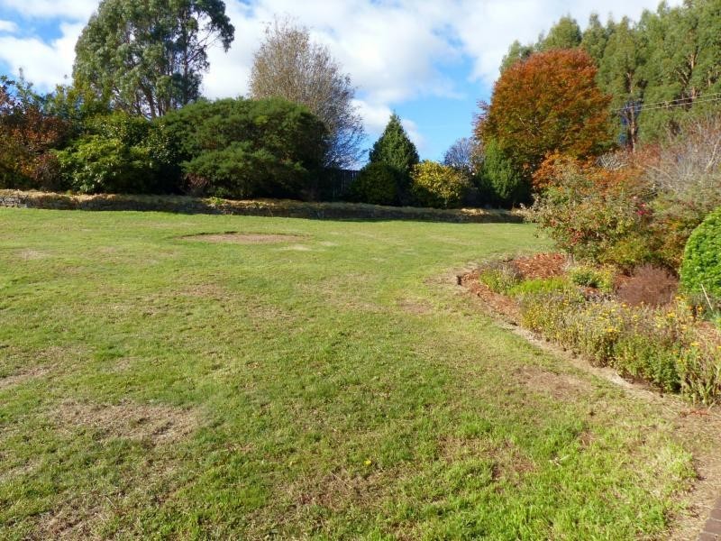 41 Pultney Street, Deloraine TAS 7304