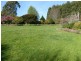 41 Pultney Street, Deloraine TAS 7304
