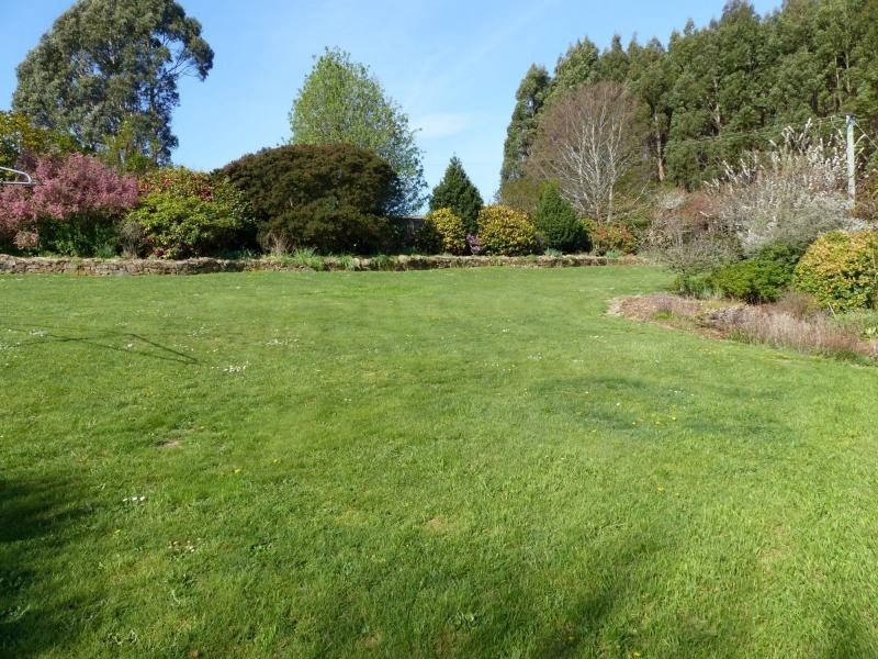 41 Pultney Street, Deloraine TAS 7304