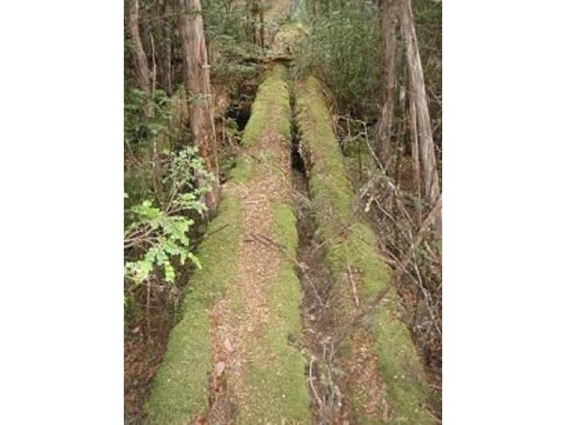 12474 Highland Lakes Road, Golden Valley TAS 7304