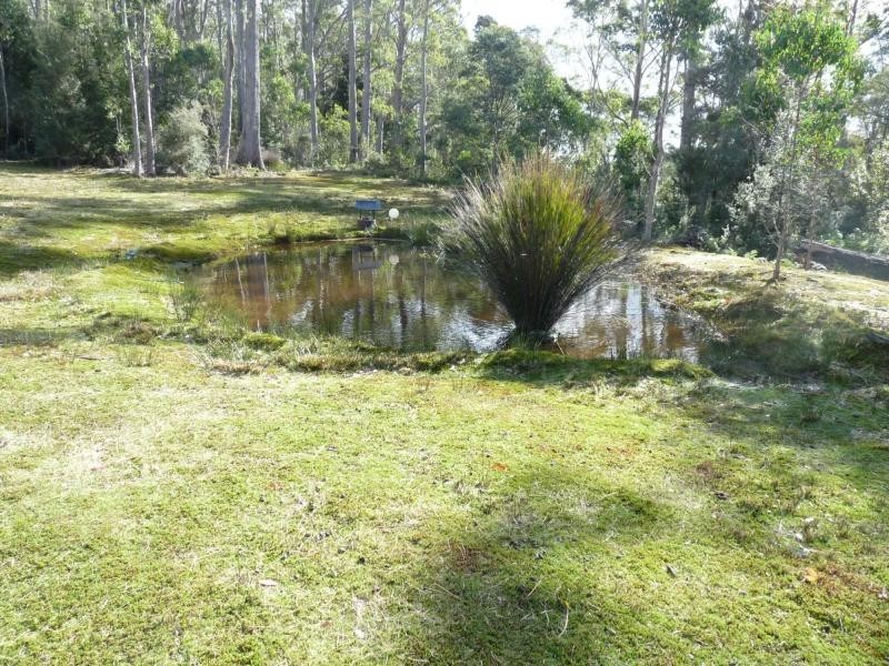 12474 Highland Lakes Road, Golden Valley TAS 7304