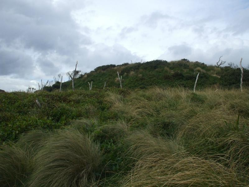 L1 Ocean Beach Road, Strahan TAS 7468
