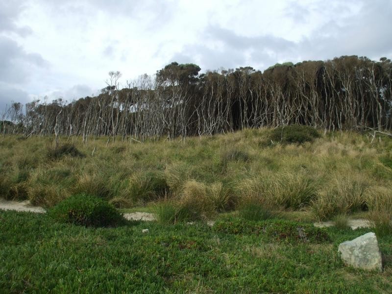 L1 Ocean Beach Road, Strahan TAS 7468