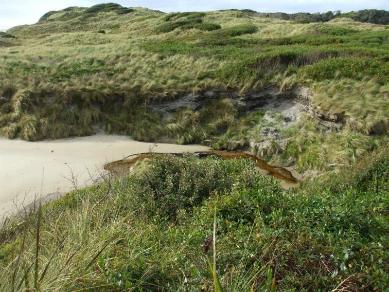 L1 Ocean Beach Road, Strahan TAS 7468