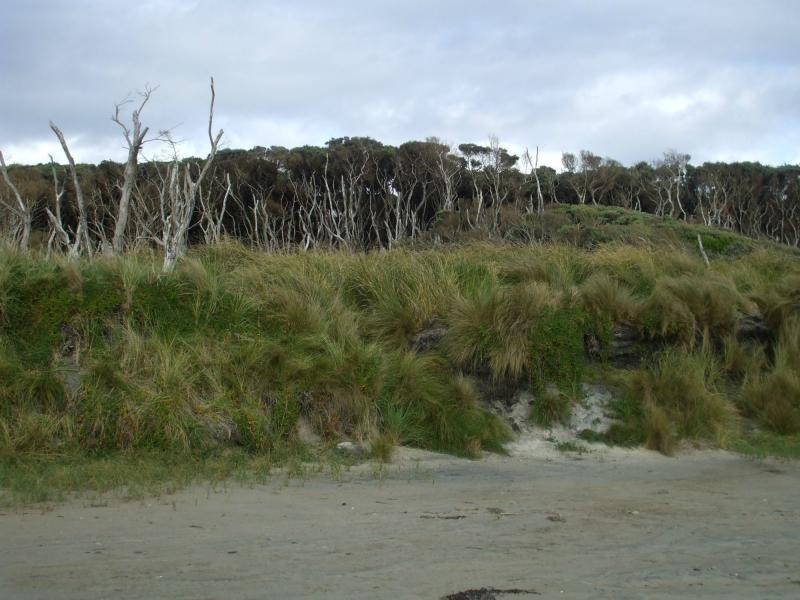 L1 Ocean Beach Road, Strahan TAS 7468