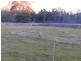 Reedy Marsh TAS 7304