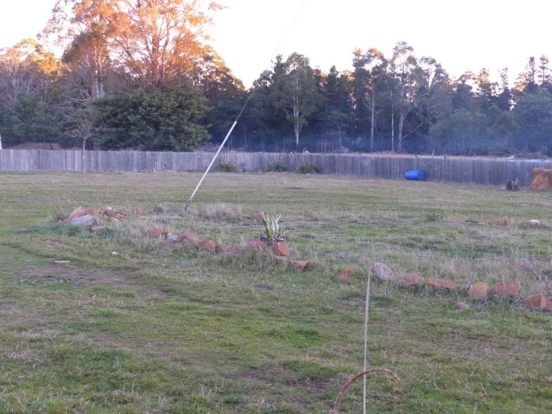 Reedy Marsh TAS 7304