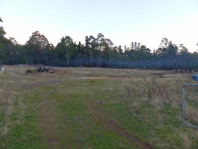 Reedy Marsh TAS 7304