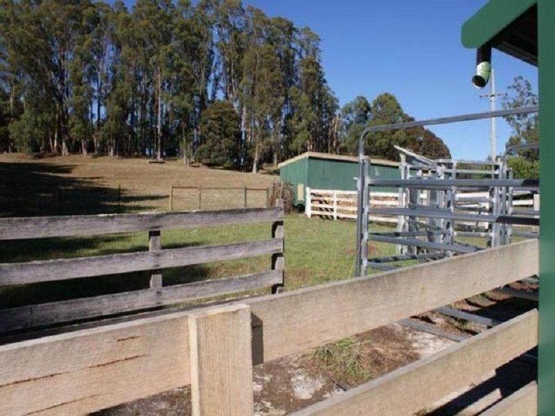 478 Union Bridge Road, Mole Creek TAS 7304