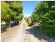 1 Liverpool Street, Deloraine TAS 7304