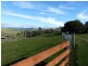 130 Gannons Hill Road, Moltema TAS 7304