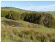 130 Gannons Hill Road, Moltema TAS 7304