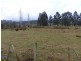 40 Sorell Street, Chudleigh TAS 7304