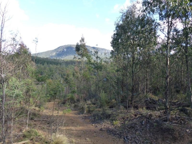 255 Beaumonts Road, Dunorlan TAS 7304