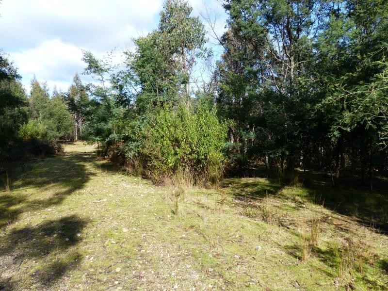 255 Beaumonts Road, Dunorlan TAS 7304