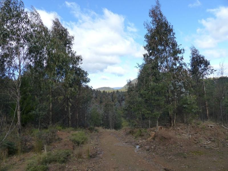 255 Beaumonts Road, Dunorlan TAS 7304