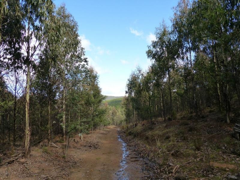 255 Beaumonts Road, Dunorlan TAS 7304