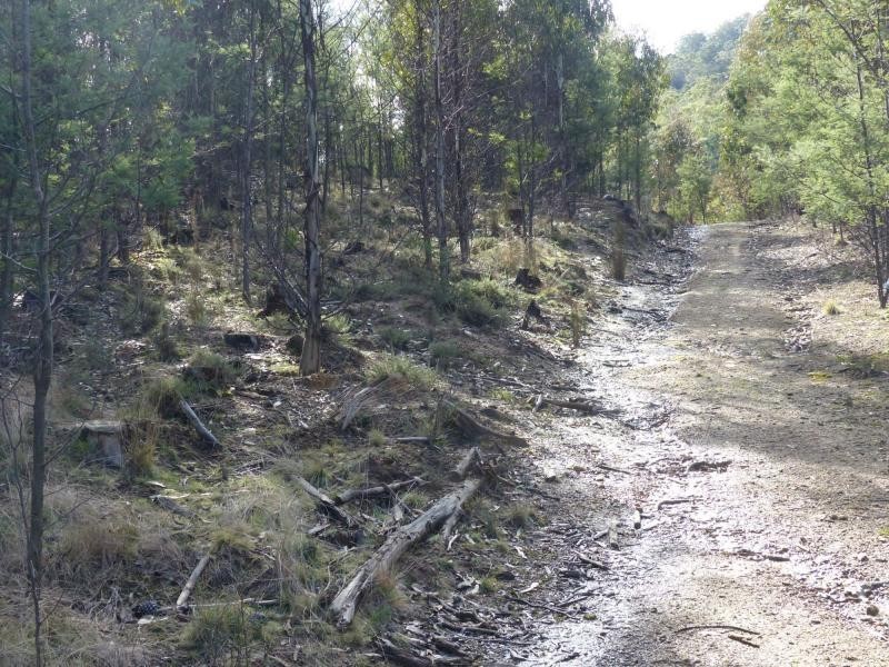 255 Beaumonts Road, Dunorlan TAS 7304