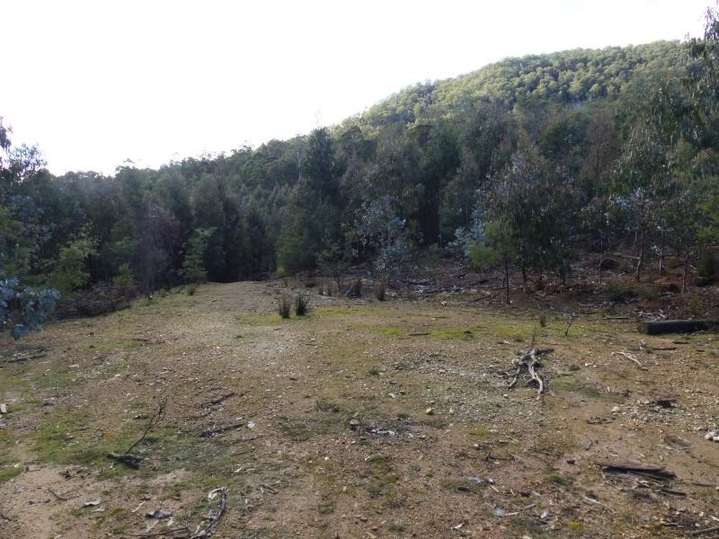 255 Beaumonts Road, Dunorlan TAS 7304