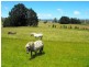 845 Weegena Road, Weegena TAS 7304