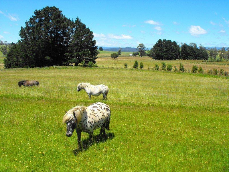 845 Weegena Road, Weegena TAS 7304