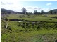 55 Morrison Street, Kimberley TAS 7304