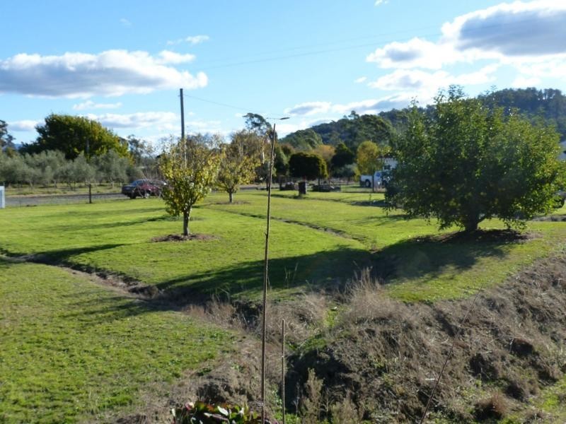 55 Morrison Street, Kimberley TAS 7304