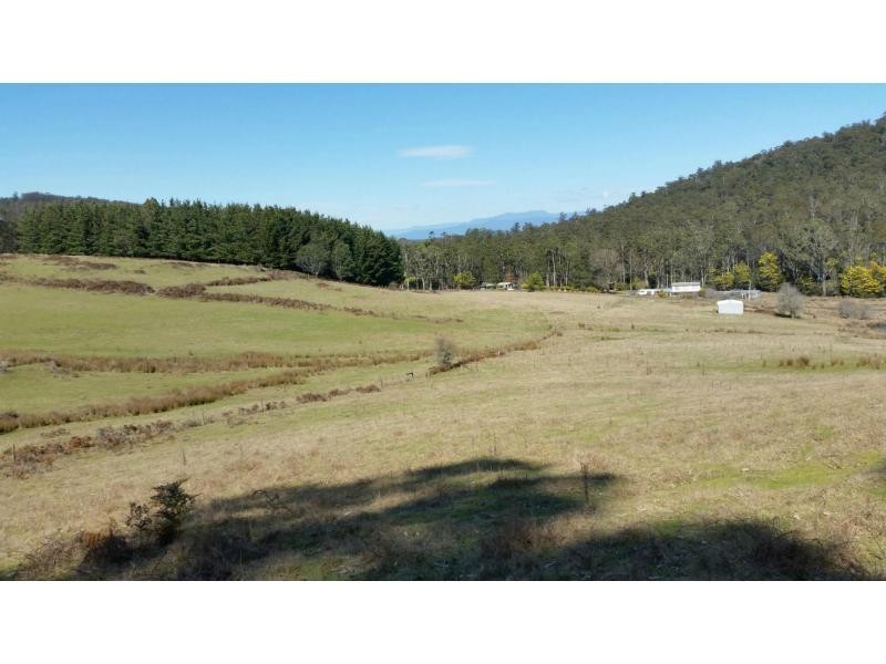 320 Priestleys Lane, Birralee TAS 7303
