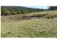 320 Priestleys Lane, Birralee TAS 7303