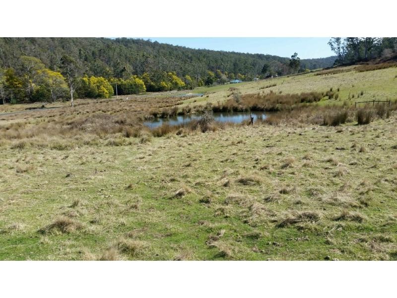 320 Priestleys Lane, Birralee TAS 7303