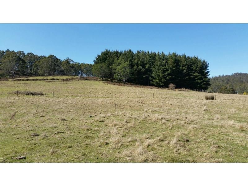 320 Priestleys Lane, Birralee TAS 7303