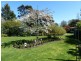 38 Marriott Street, Westbury TAS 7303