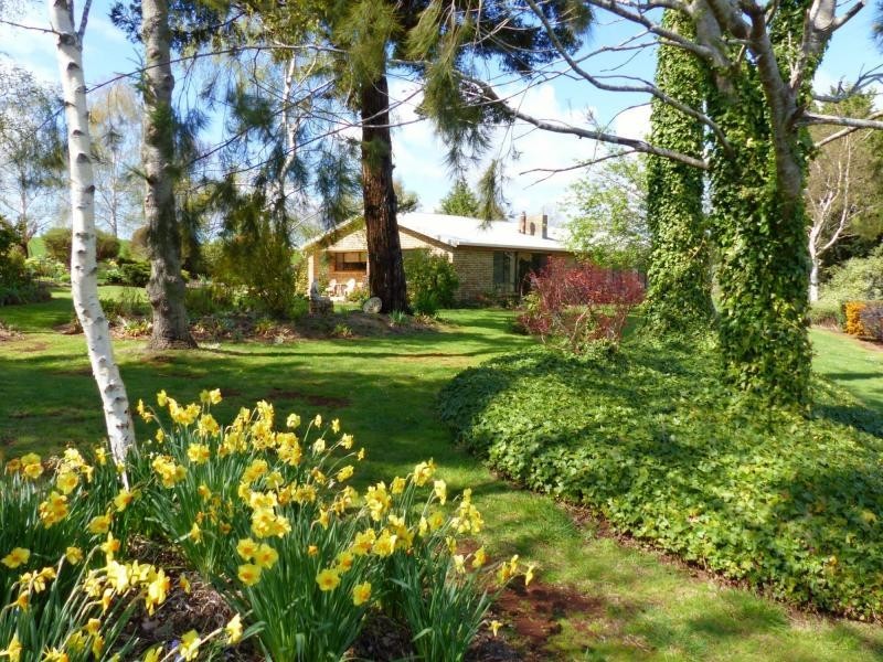 76 Liverpool Street, Deloraine TAS 7304