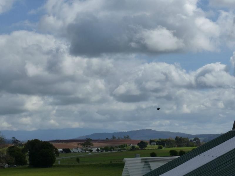 146 Emu Bay Road, Deloraine TAS 7304