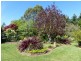 11 Gleadow Street, Deloraine TAS 7304