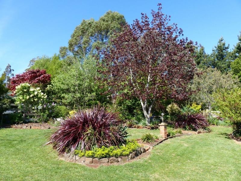 11 Gleadow Street, Deloraine TAS 7304