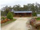 156 Saddlers Run Road, Reedy Marsh TAS 7304