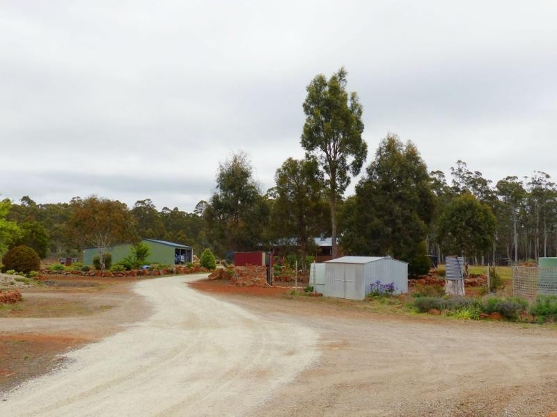 156 Saddlers Run Road, Reedy Marsh TAS 7304