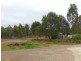 156 Saddlers Run Road, Reedy Marsh TAS 7304