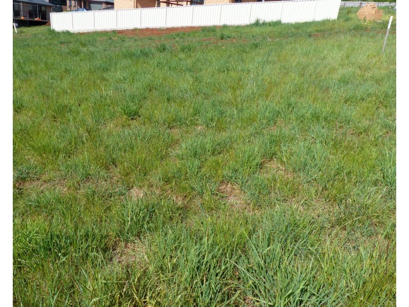 Lot 18 Marlendy Drive, Deloraine TAS 7304