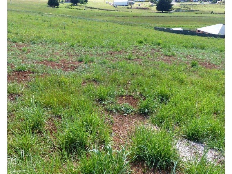 Lot 18 Marlendy Drive, Deloraine TAS 7304