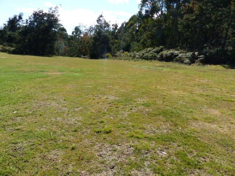 174 Wadleys Road, Reedy Marsh TAS 7304