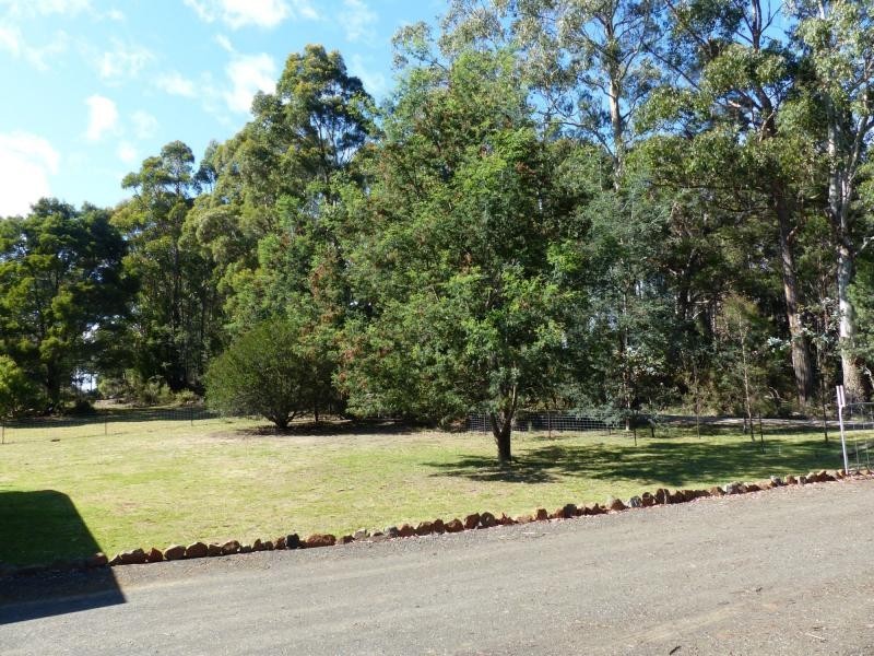 174 Wadleys Road, Reedy Marsh TAS 7304