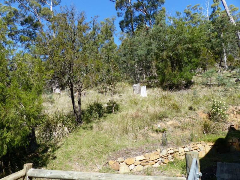 240 Parkham Road, Elizabeth Town TAS 7304